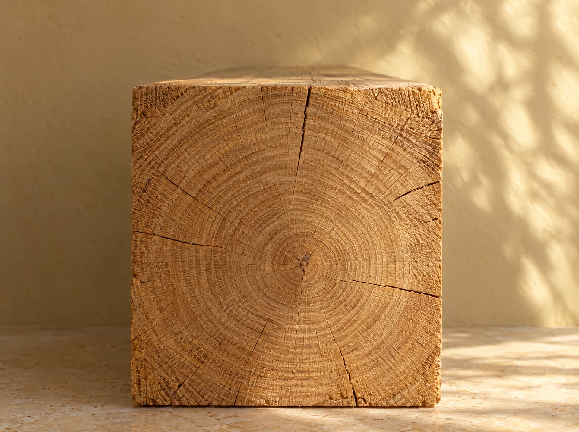 Testa de roble con los anillos a la vista.